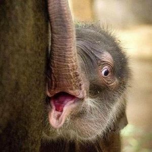 Meet your Posher, Mary ellen